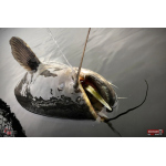 Nymfa REDBASS Nr. 1 XL - 130 mm - 1 ks