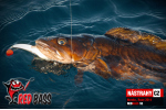 Velký smáček REDBASS S5