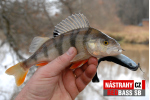 Velký smáček REDBASS SB