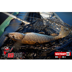 Ripper REDBASS PIKER - 120 mm