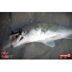 Ripper REDBASS PIKER - 135 mm