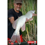 Ripper REDBASS PIKER - 135 mm