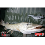 Ripper REDBASS PIKER - 135 mm