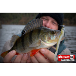 Smáček REDBASS SCB 4
