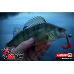 Smáček REDBASS SCB 4