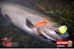 Plandavka Trout Bait - ANDI 2,4 g