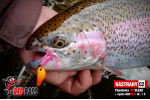 Plandavka Trout Bait - ANDI 2,4 g
