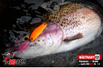 Plandavka Trout Bait - ANDI 2,4 g