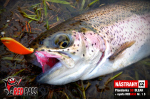 Plandavka Trout Bait - ANDI 2,4 g