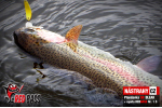Plandavka Trout Bait - ANDI 2,4 g