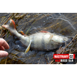 Smáček REDBASS SLR