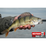 Mikrosmáček REDBASS SSF 1