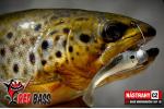 Mikrosmáček REDBASS SSF 2