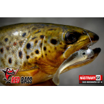 Mikrosmáček REDBASS SSF 1B