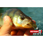 Mikrosmáček REDBASS SSF 1B