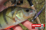 Mikrosmáček REDBASS SSR 1B