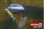 Mikrosmáček REDBASS SSR 1B