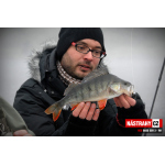 Smáček REDBASS SSR 3