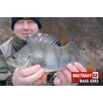 Smáček REDBASS SSR 3