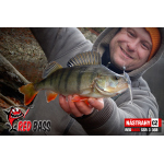 Smáček REDBASS SSR 3