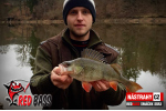 Smáček REDBASS SSR 3