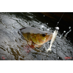 Smáček REDBASS SSR 3