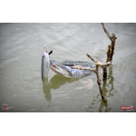 Ripper REDBASS SWIMMER XXL - 200 mm