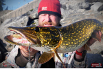 Ripper REDBASS SWIMMER XXL - 200 mm
