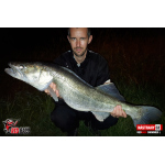 Ripper REDBASS SWIMMER XL - 140 mm