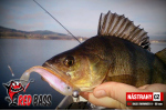 Ripper REDBASS SWIMMER L - 90 mm