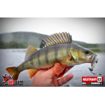 Ripper REDBASS SWIMMER XL - 140 mm