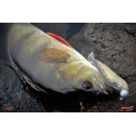 Ripper REDBASS SWIMMER L - 90 mm