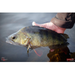 Ripper REDBASS SWIMMER L - 90 mm