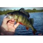 Ripper REDBASS SWIMMER L - 90 mm