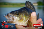 Ripper REDBASS SWIMMER L - 90 mm