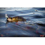 Ripper REDBASS SWIMMER L - 90 mm