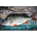 Ripper REDBASS SWIMMER L - 90 mm