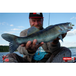 Ripper REDBASS SWIMMER SLIM XL - 125 mm