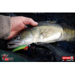Ripper REDBASS SWIMMER SLIM XL - 125 mm