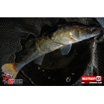 Ripper REDBASS SWIMMER SLIM XL - 125 mm