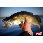 Ripper REDBASS SWIMMER SLIM XL - 125 mm