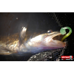 Ripper REDBASS SWIMMER SLIM XL - 125 mm