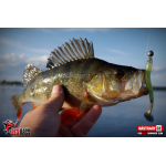 Ripper REDBASS SWIMMER SLIM XL - 125 mm
