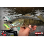 Ripper REDBASS SWIMMER SLIM S - 70 mm