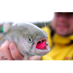 TROUT GRUB L 3 x 25 mm REDBASS