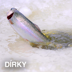 VŠE NA DÍRKY