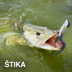 VŠE NA ŠTIKY
