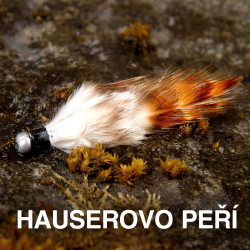 Hauserovo peří