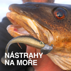 Nástrahy na moře