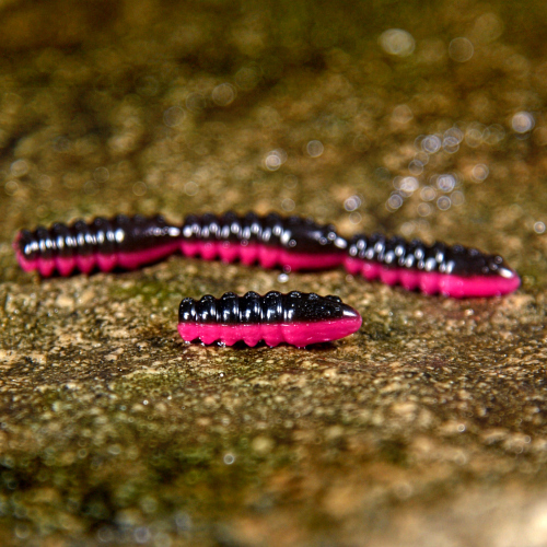 TROUT GRUB L 3 x 25 mm REDBASS - BLACK/SIGNAL PINK - UV COLOR
